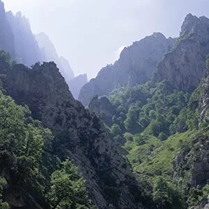 Peaks and high valleys on the side of the Cares Gorge