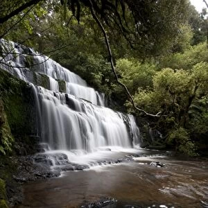 Purakaunui Falls, Southland, South Island, New Zealand, Pacific