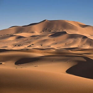 Sand dunes in the Erg Chebbi Desert Dunes, Western Sahara, Morocco, North Africa, Africa