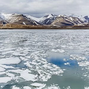 The seasons last remaining shore fast ice in Bellsund, Spitsbergen, Svalbard, Norway, Scandinavia, Europe