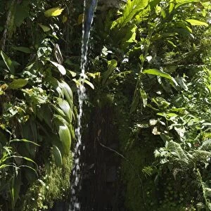 Small waterfall near Arenal, Costa Rica, Central America
