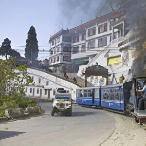 Steam train known as the Toy Train passing in front of Druk Sangak Choling Gompa