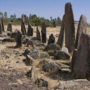 Stone pillars of Tiya, UNESCO World Heritage Site, Ethiopia, Africa