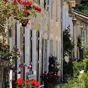 Street of houses, St. Jean de Cole, Dordogne, France, Europe
