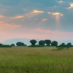 Uganda Heritage Sites Rwenzori Mountains National Park