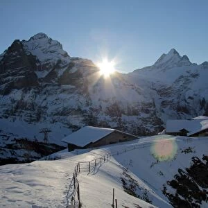 Sunrise on the Wetterhorn, seen from First, Grindelwald, Bernese Oberland