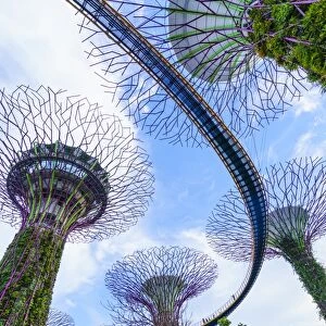 Supertree Grove in the Gardens by the Bay, a futuristic botanical gardens and park