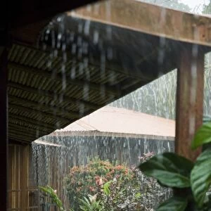 Torrential rain, Tortuguero National Park, Caribbean Coast, Costa Rica, Central America