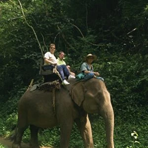 Tourists ride on an elephant at the Chiang Dao Elephant