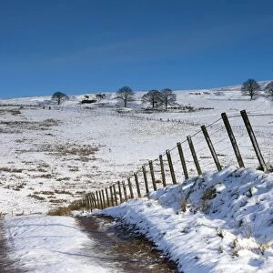 Track onto the fell in winter, Lower Pennines, Cumbria, England, United Kingdom, Europe