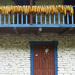 Traditional house drying corn, near Ulleri, Annapurna Sanctuary Region