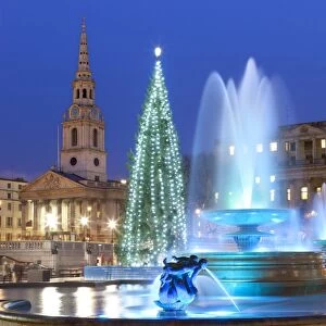 Trafalgar Square at Christmas, London, England, United Kingdom, Europe