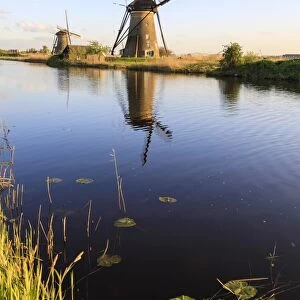 Typical windmills reflected in the canal framed by grass in spring, Kinderdijk, UNESCO