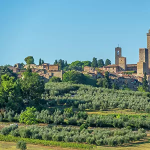 View of olive trees and landscape around San Gimignano, San Gimignano, Province of Siena, Tuscany, Italy, Europe