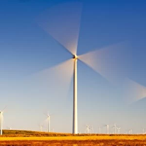 Wind turbines, Whitelee Wind Farm, East Renfrewshire, Scotland, United Kingdom, Europe