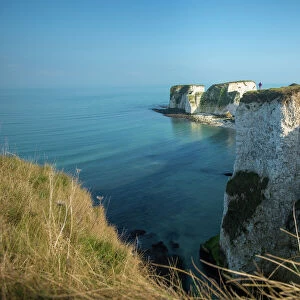 A woman looks out at Old Harry Rocks at Studland Bay in Dorset on the Jurassic Coast