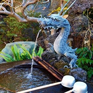 Dragon purifying water fountain at the Chingodo Shrine in Asakusa in Tokyo, Japan