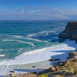 Cape of Good Hope, Cape Point National Park, Cape Town, Western Cape, South Africa