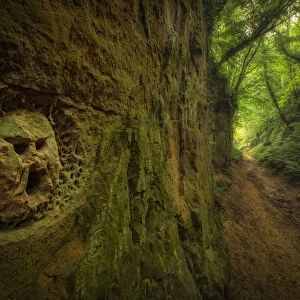 Carving in rock along Shutes Lane, Sunken Lane (Holloway), Symondsbury, Bridport, Dorset