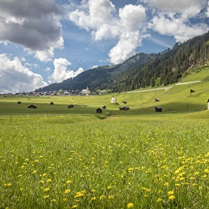 Chapel in the meadows near Obertilliach in the Lesachtal valley, East Tyrol, Tyrol, Austria