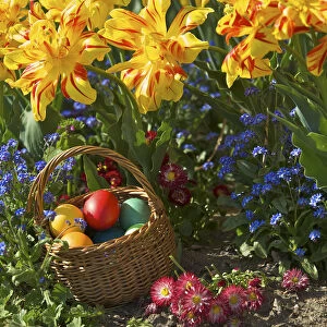 colourful easter eggs in a basket