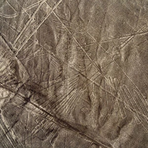The Condor Geoglyph, aerial view, Nazca, Ica Region, Peru
