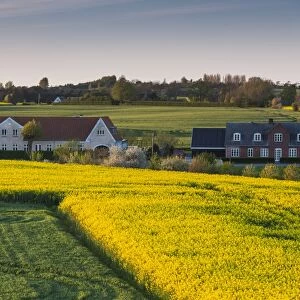 Denmark, Funen, Hindsholm Peninsula, Viby, elevated view of farm, springtime