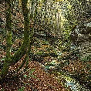 Europe, Italy, Abruzzo region. Lush autumn in the Orfento Valley nature reserve
