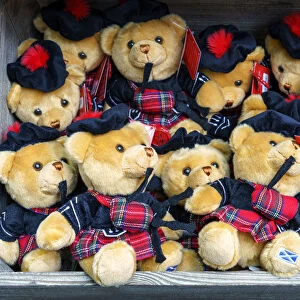 Europe, Scotland, Lothian, Edinburgh, Royal Mile, Teddy Bears