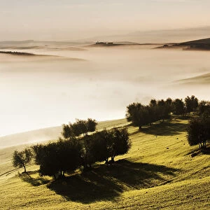 Landscape in the Siena province, Tuscany, Italy
