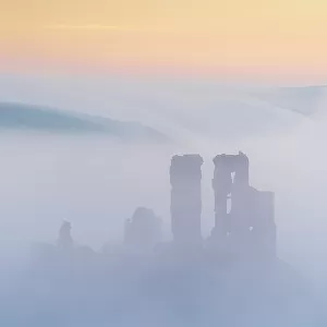 The ruins of Corfe Castle emerging from mist at dawn, Corfe Castle, Dorset, England. Winter (February) 2023