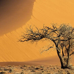 Sand dune, Namib-Naukluft National Park, Sesriem, Namibia