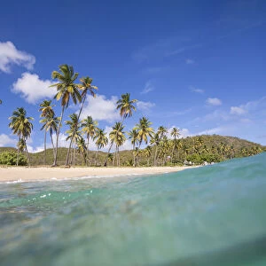 Underwater view of the sandy beach surrounded by palm trees Carlisle Morris Bay Antigua