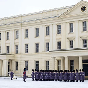 United Kingdom, England, London, Wellington Barracks, The Irish Guards Foot Guards