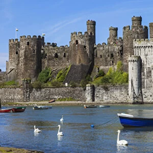 Wales, Gwynedd, Conwy, Conwy Castle