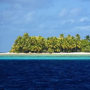 Uninhabited island, Namu atoll, Marshall Islands (N. Pacific)