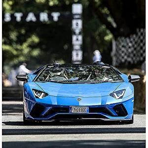 Lamborghini, LAM175856M