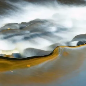 Cascade Print, Mountain Stream Scene Cascade Print, Mountain Stream Scene