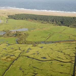 Aerial view of grazing marsh, pine woodland and coastline, Holkham National Nature Reserve, North Norfolk, England