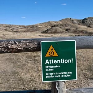 Attention! Rattlesnakes in Area warning sign on fence in shortgrass prairie, West Bloc, Grasslands N. P. Southern Saskatchewan, Canada, october