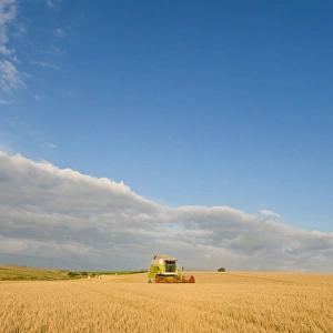 Barley (Hordeum vulgare) crop, Cls combine harvester harvesting ripe field, Norfolk, England, August