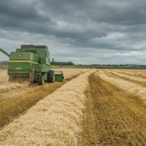 Barley (Hordeum vulgare) crop, John Deere combine harvester finishing harvesting field under cloudy sky, Pilling