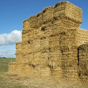 Big bale straw stack in field, Sweden, October