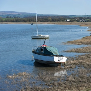 Boats on river beside wetland habitat, Glasson Dock, River Lune, Lancaster, Lancashire, England, march