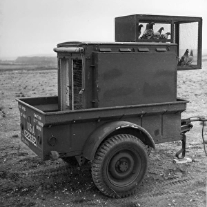 British courier pigeon loft in trailer, adapted for use by American Army Signal Corps during World War Two, Tidworth, England, july 1943 (U. S. Army Signal Corps)