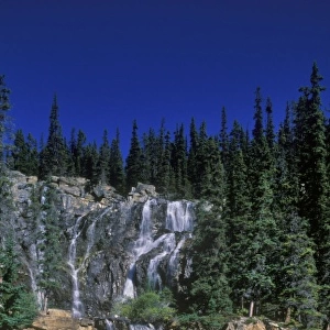 Canada Tangle Creek Falls - Sunwapta River - Jasper National Park, Canada