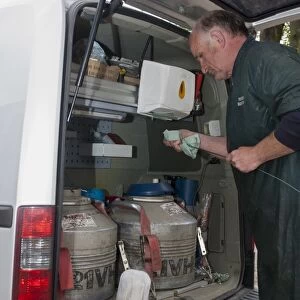 Cattle farming, artificial insemination technician preparing semen for cow in back of van, England, May