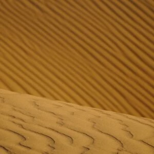 Close-up of desert sand dunes, Sahara, Morocco, january