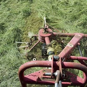 Close-up of tedder, spreading newly mown grass to wilt better and make good hay, Cumbria, England, July