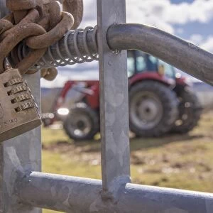 Combination lock and heavy chain on farm gate, with tractor in background, Lancashire, England, March
